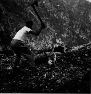 Holzhacken an der Spilios Agapitos 1959
